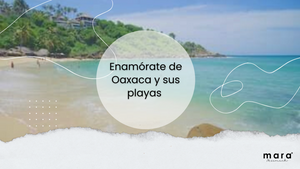 Enamórate de Oaxaca y sus playas