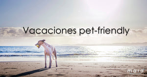 Los mejores destinos pet friendly para que vacaciones