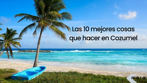 Las 10 mejores cosas que hacer en Cozumel