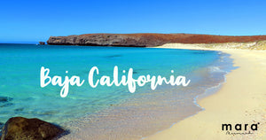 Porque todos aman Baja California