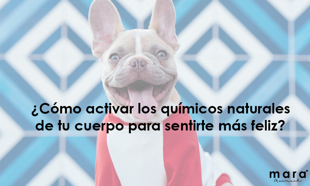 ¿Cómo activar los químicos naturales de tu cuerpo para sentirte más feliz?
