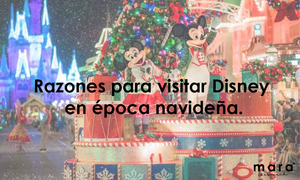 Razones para visitar Disney en época navideña